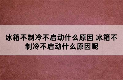 冰箱不制冷不启动什么原因 冰箱不制冷不启动什么原因呢